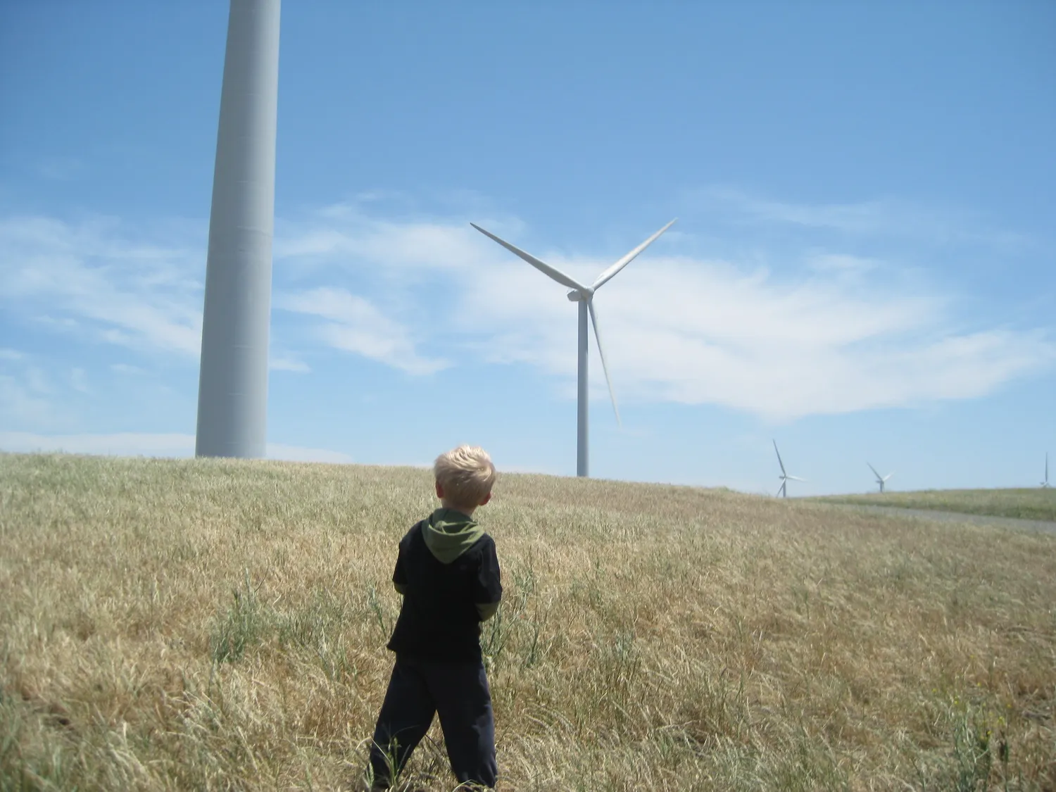 A blond boy standing in a field with wind turbines in the background